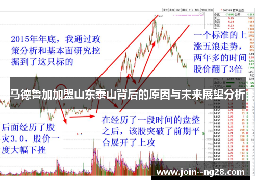 马德鲁加加盟山东泰山背后的原因与未来展望分析
