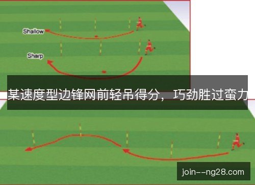 某速度型边锋网前轻吊得分，巧劲胜过蛮力